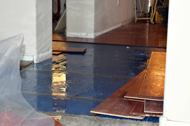 Professional Burst Pipe Cleanup technician working in Closter, NJ